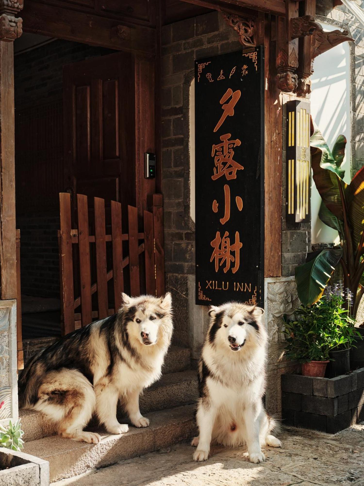 Xilu Xiaoxie Inn Old Town Lijiang Lijiang  Bagian luar foto