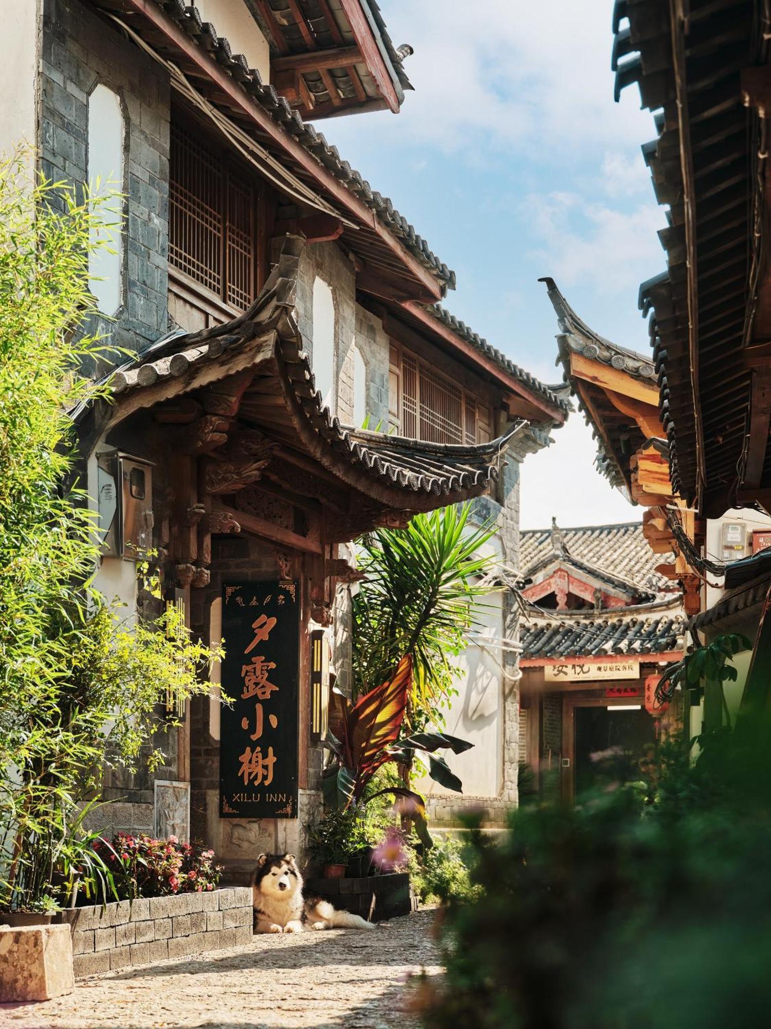 Xilu Xiaoxie Inn Old Town Lijiang Lijiang  Bagian luar foto