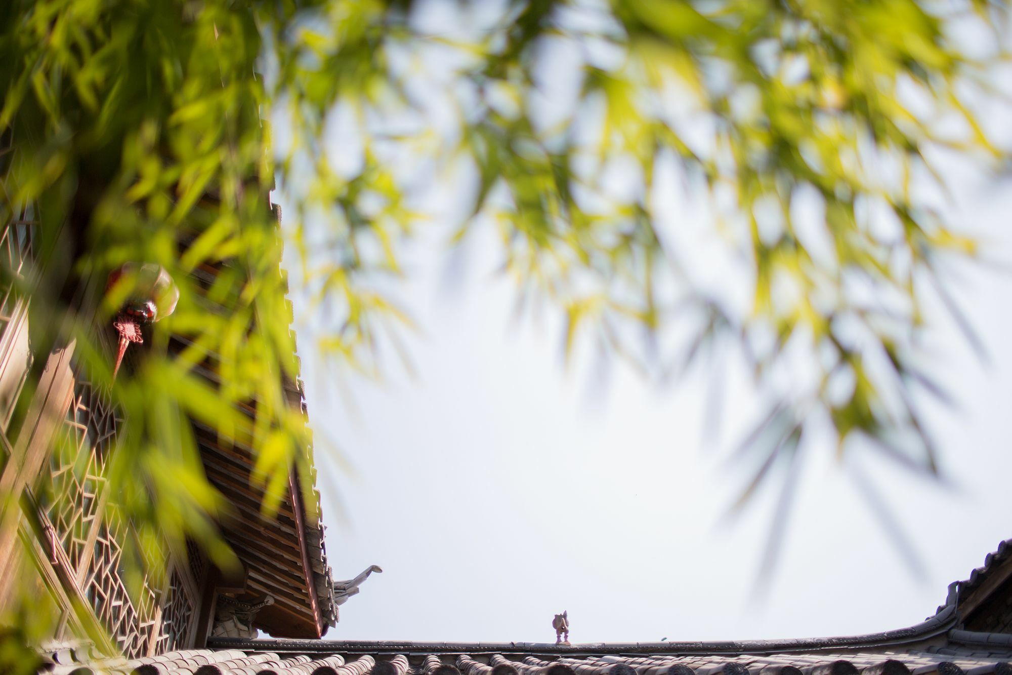 Xilu Xiaoxie Inn Old Town Lijiang Lijiang  Bagian luar foto